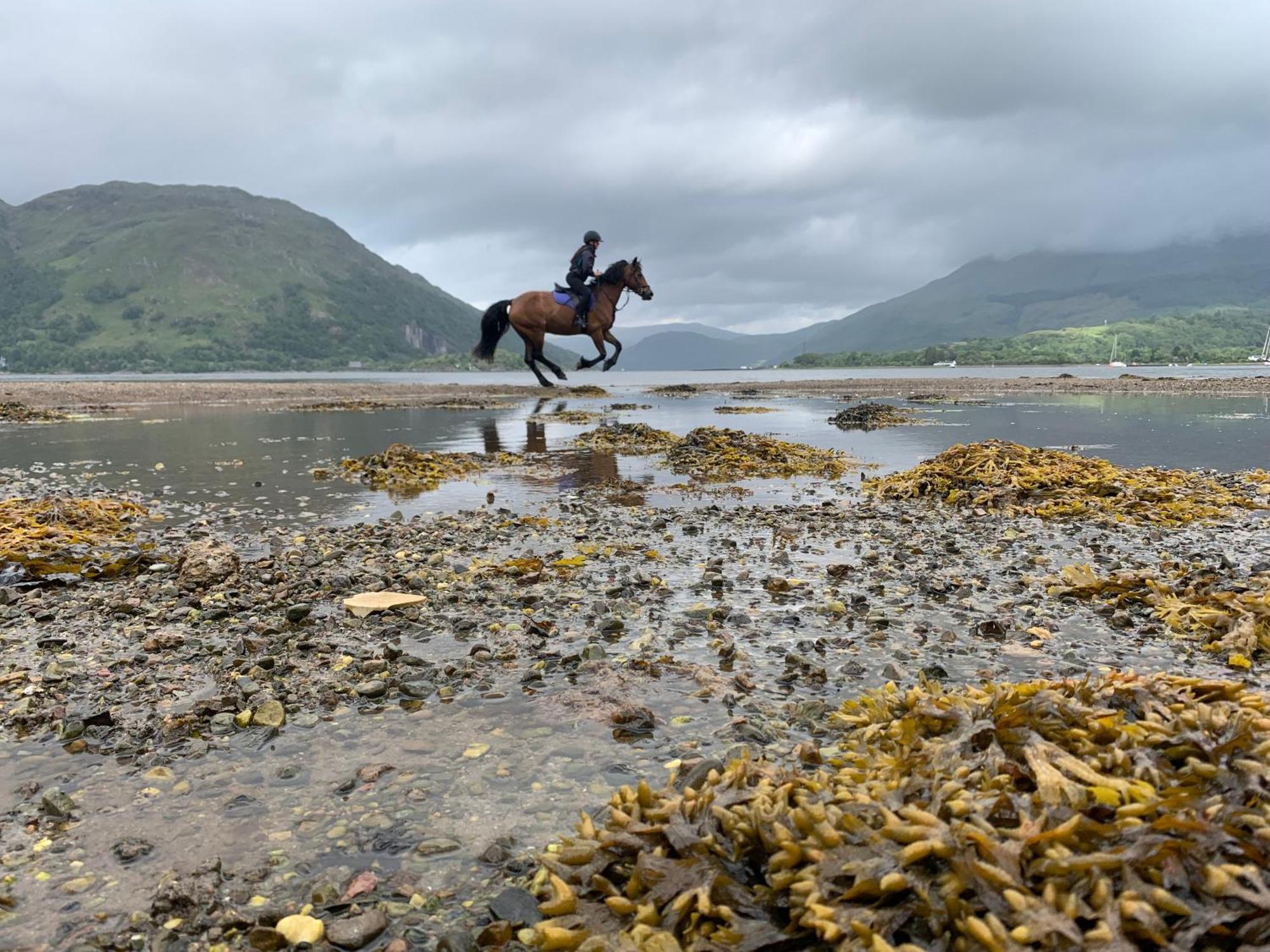 Ceo Mara Croft & 2 Luxury Taynuilt